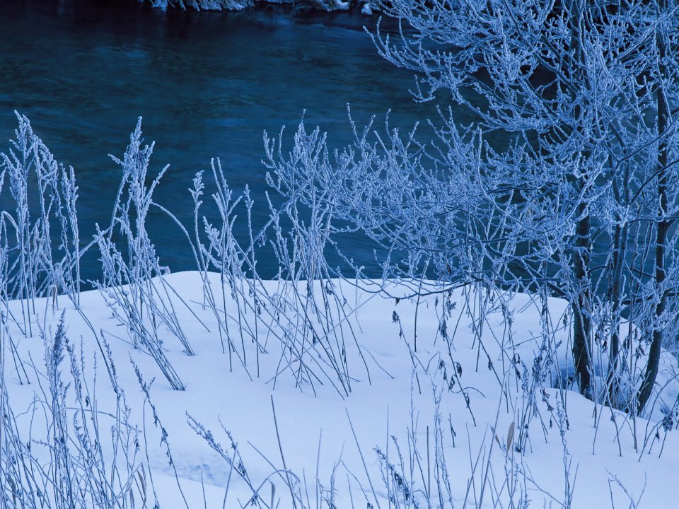 Snow_Winter_Scene_winter_snow_wallpapers_MIL50093_wallcoo.com