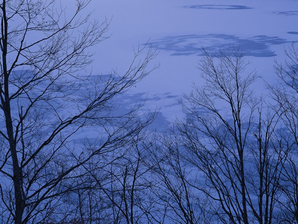 Snow_Winter_Scene_winter_snow_wallpapers_MIL50096_wallcoo.com