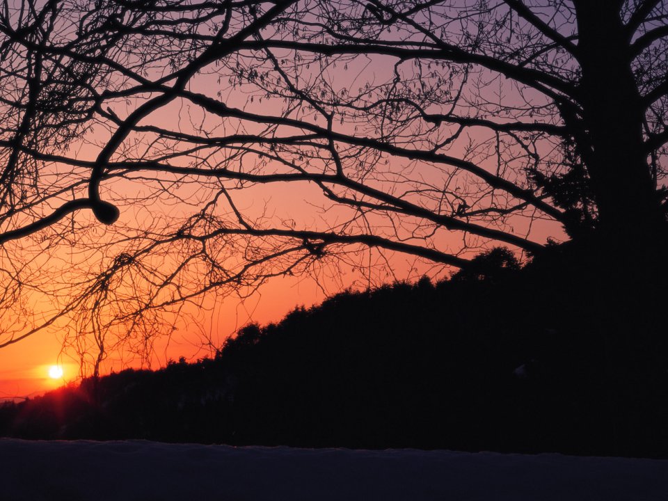Snow_Winter_Scene_winter_snow_wallpapers_MIL50100_wallcoo.com