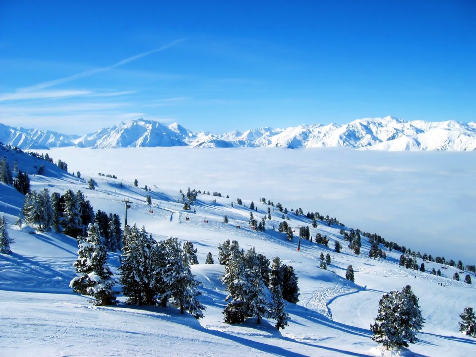 Snowscape