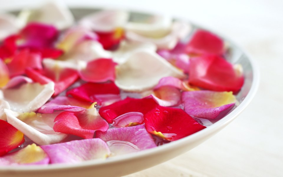 SPA_Elements_SPA_pictures_FAN2004077