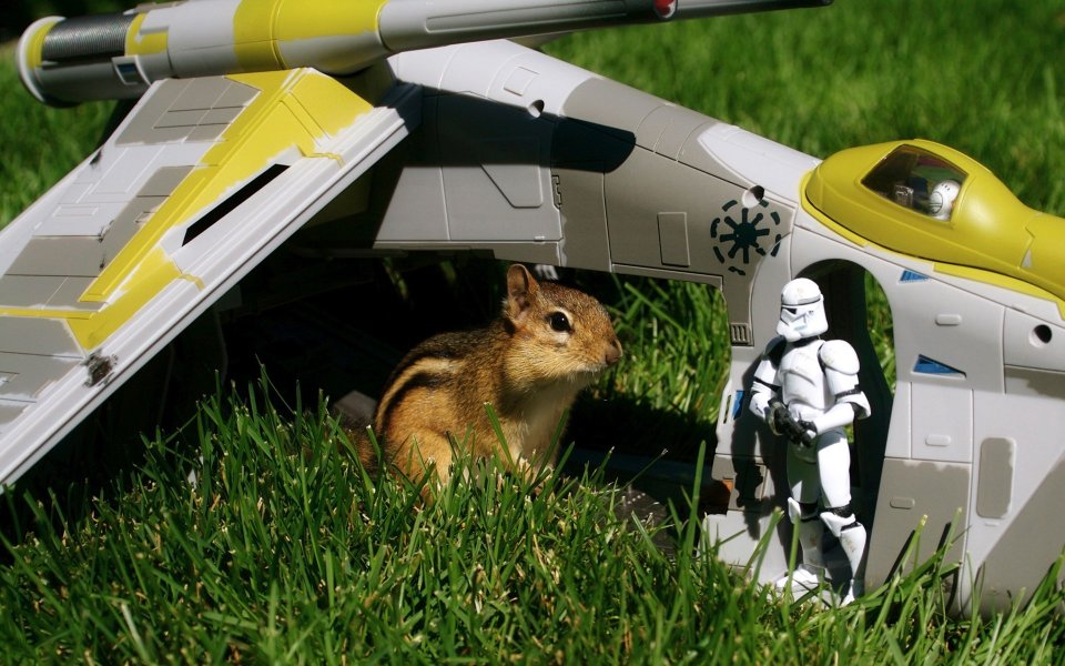 star_war_toys_photos_1306204392_f842f3acd3_o