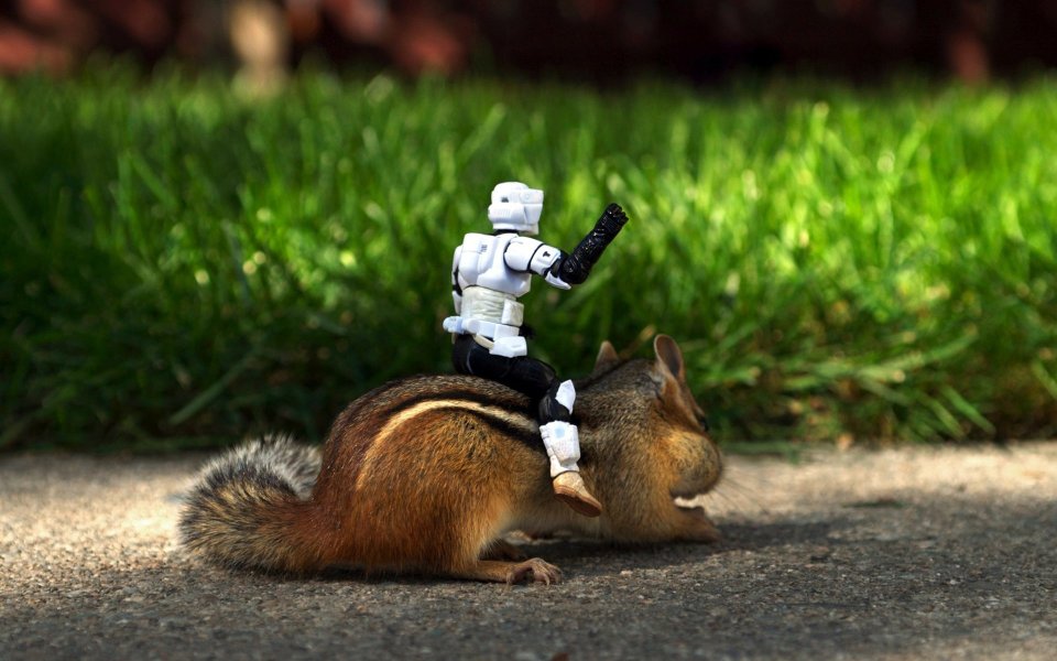star_war_toys_photos_2892525094_28a2b4a44d_o