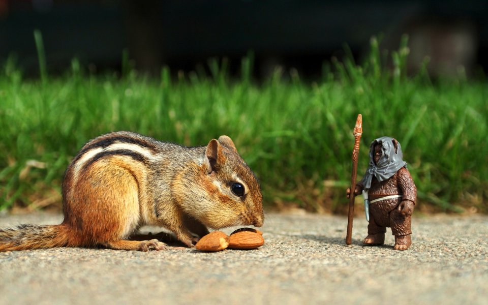 star_war_toys_photos_3004306048_c8386da002_o