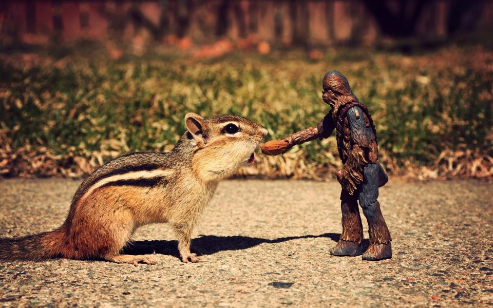 star_war_toys_photos_3494431714_5d6f3f85a3_o