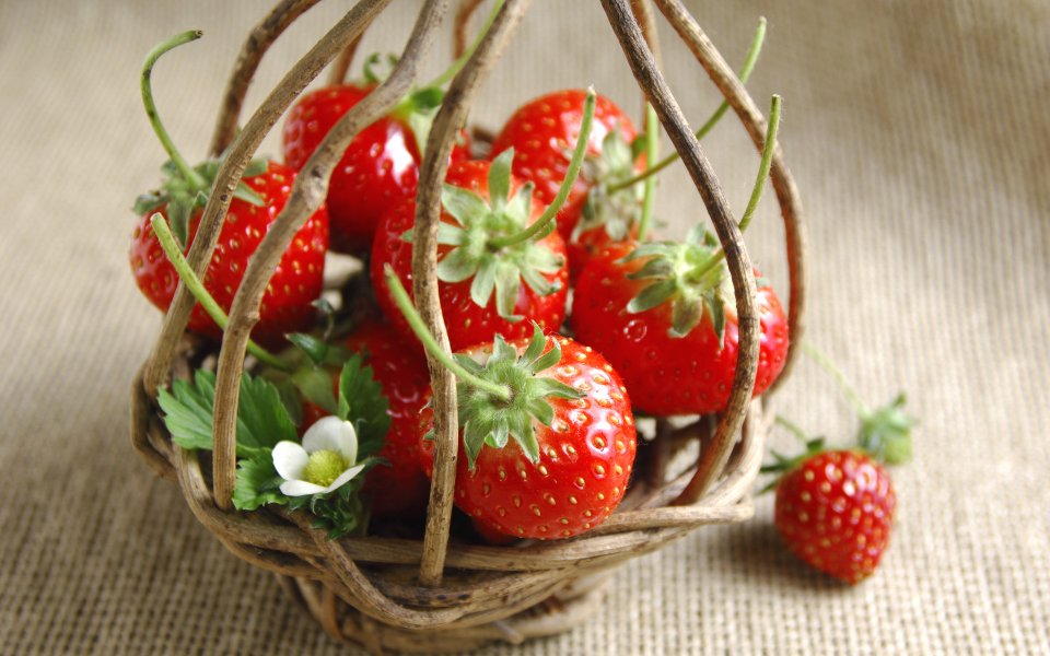 Strawberry_photos_Fresh_Strawberry_Picture_F045085