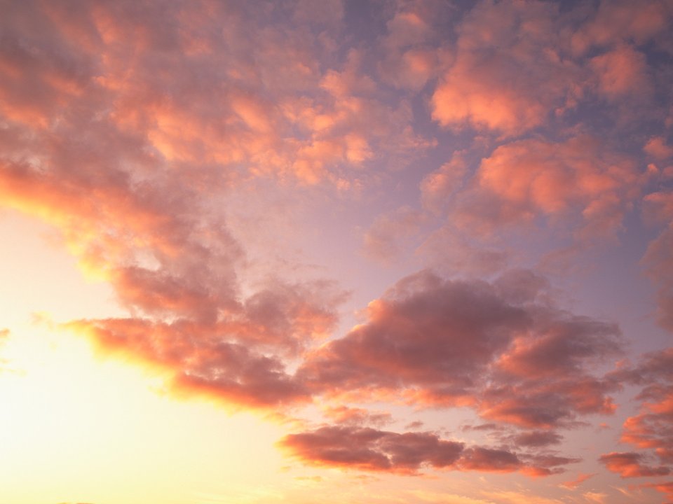 Tahiti_Travel_01054