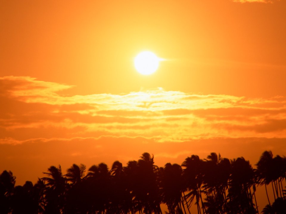 Tahiti_Travel_01067