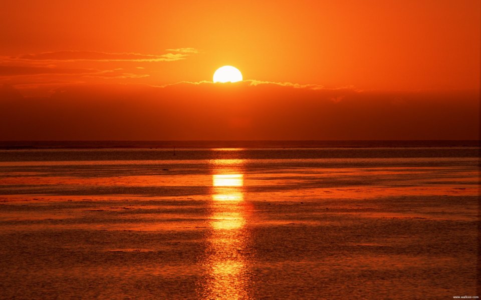 Tahiti_Travel_01069
