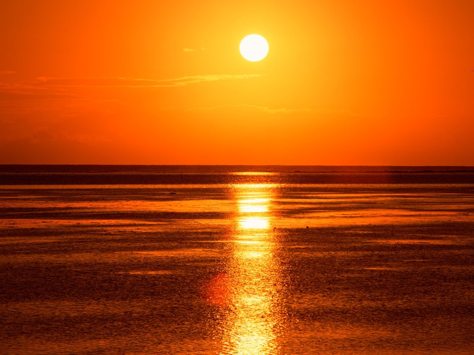 Tahiti_Travel_01070