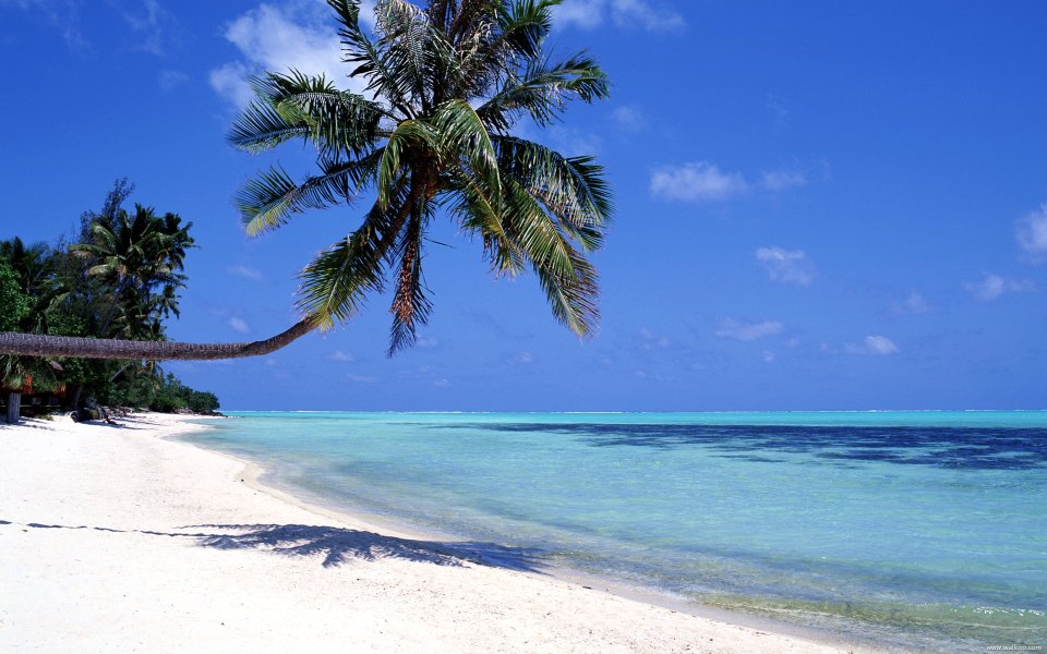 Tahiti_Travel_02035