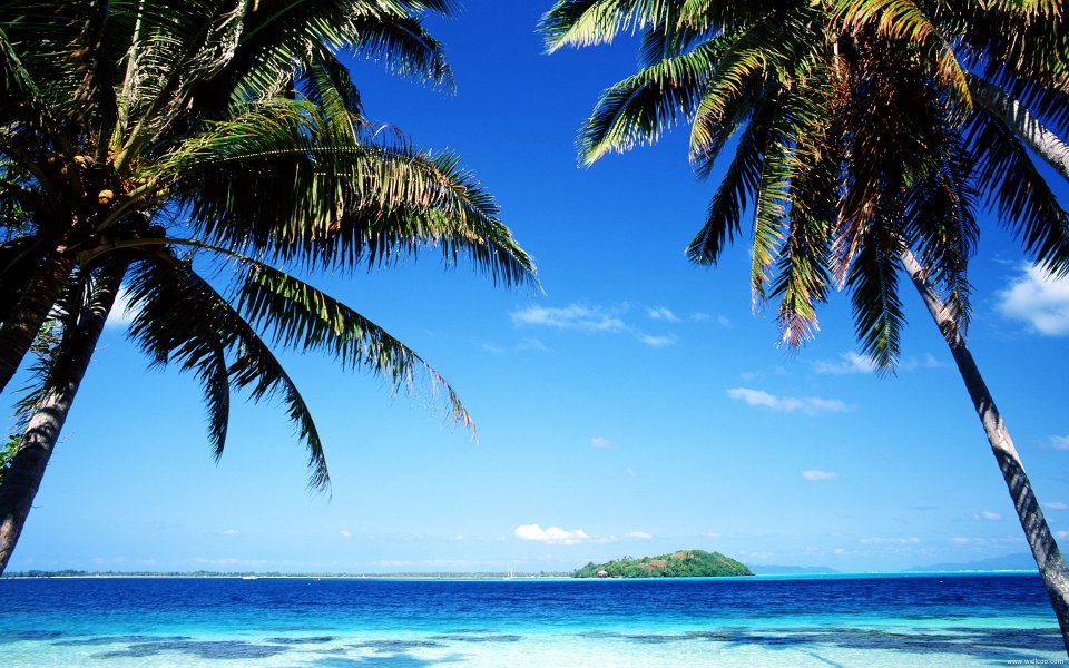 Tahiti_Travel_02036