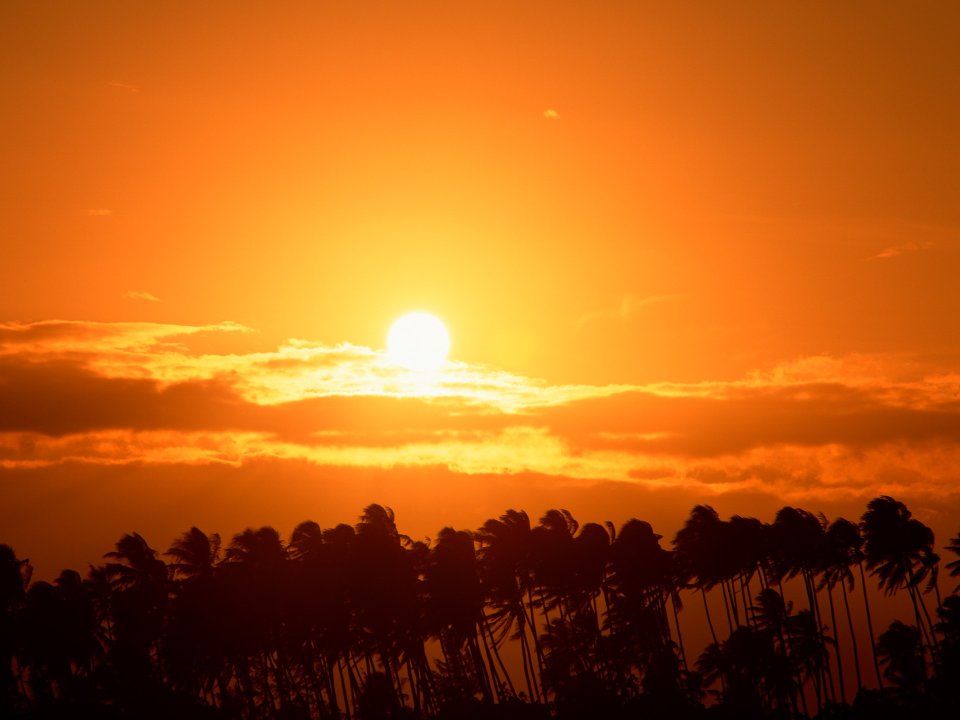 Tahiti_Travel_02059