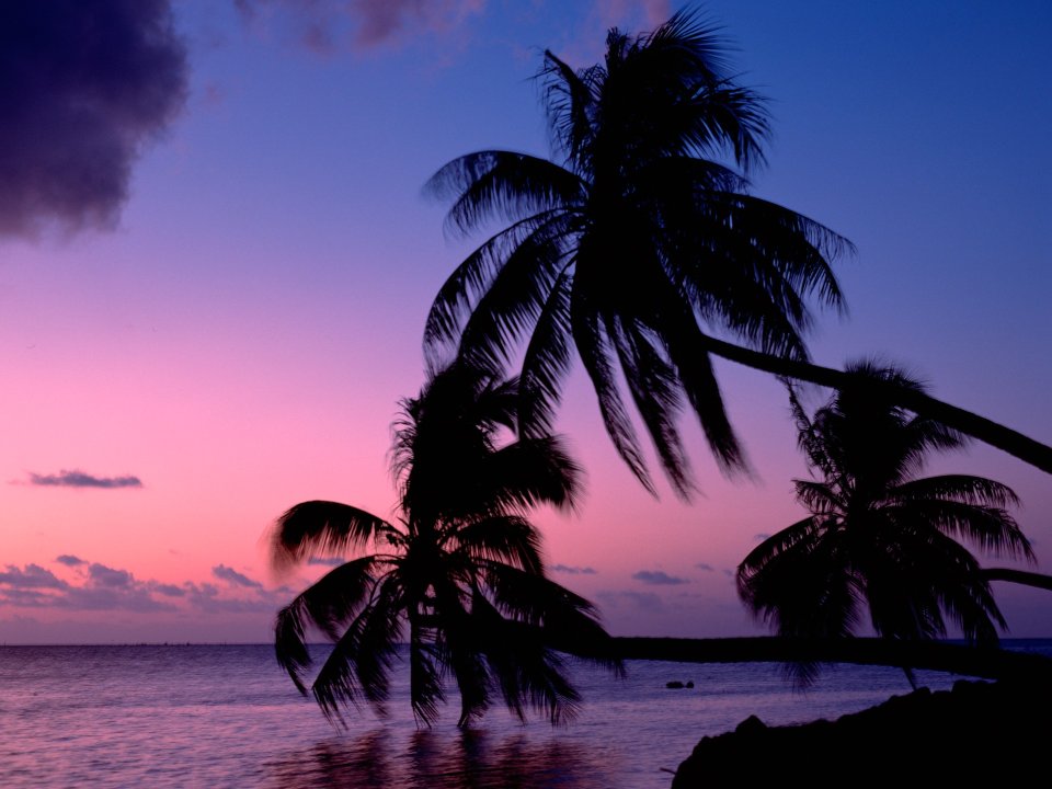 Tahiti_Travel_03030