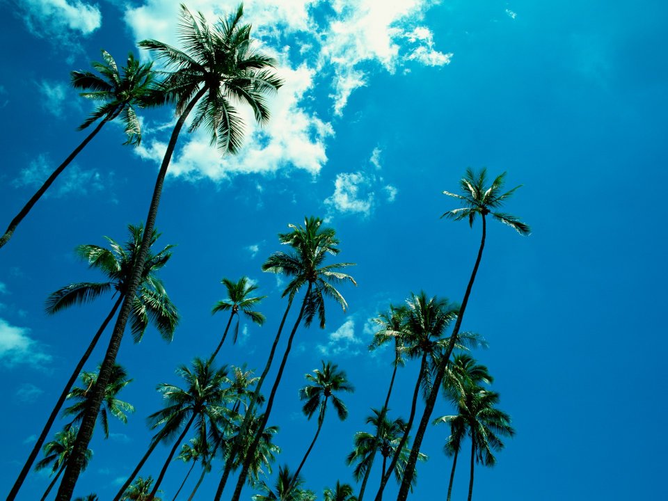 Tahiti_Travel_03031