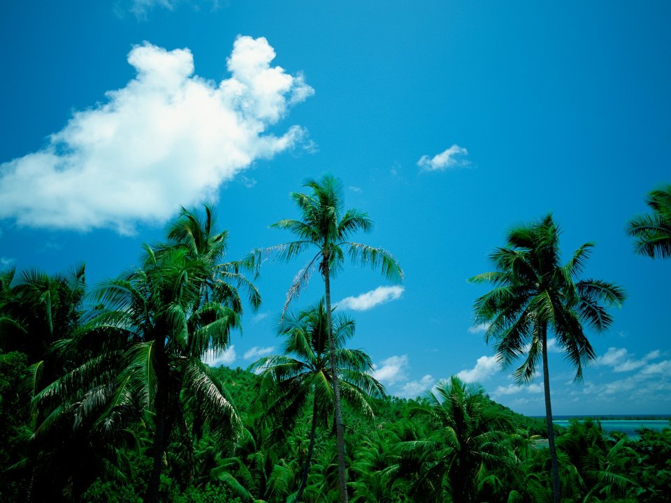 Tahiti_Travel_03032