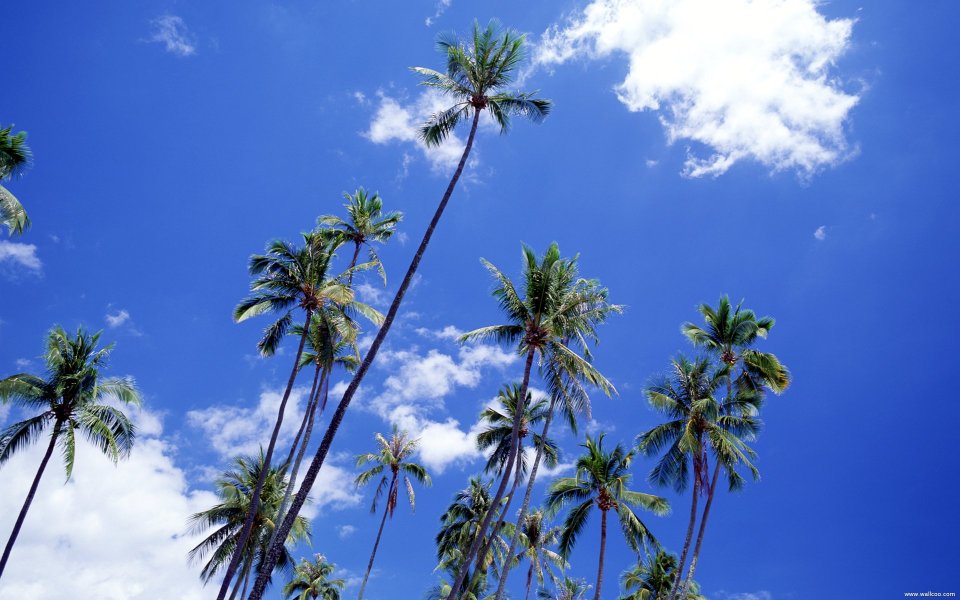 Tahiti_Travel_03033