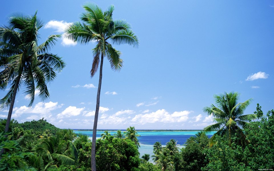 Tahiti_Travel_03037