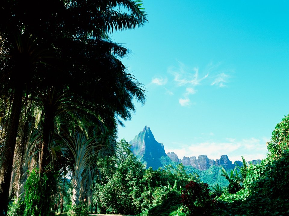 Tahiti_Travel_03048