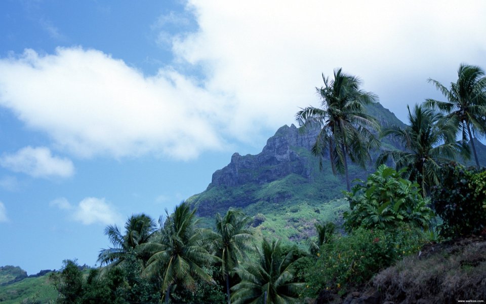 Tahiti_Travel_03049