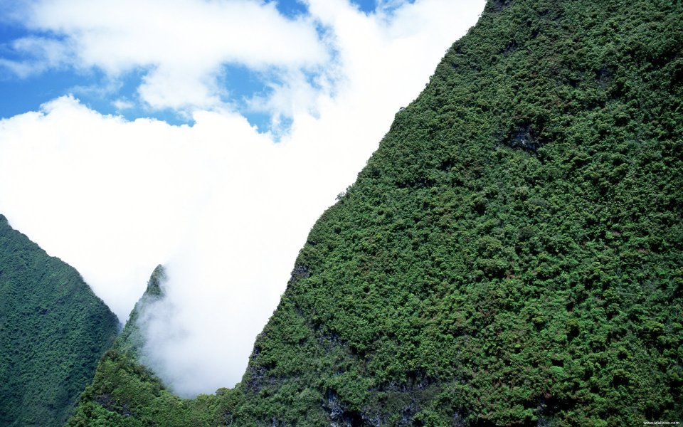 Tahiti_Travel_03059
