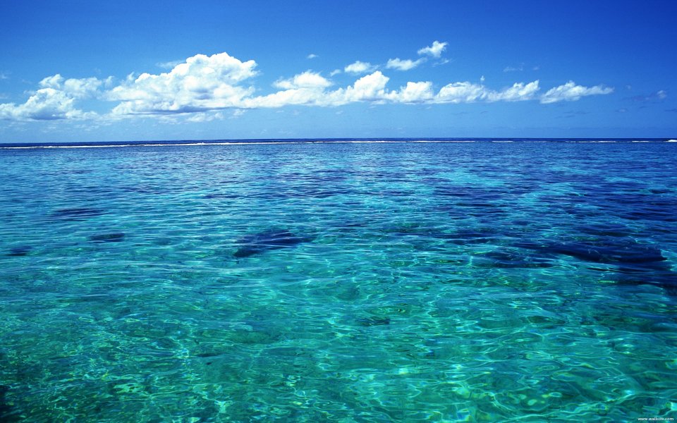 Tahiti01036
