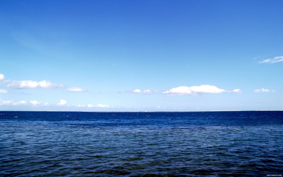 Tahiti01038