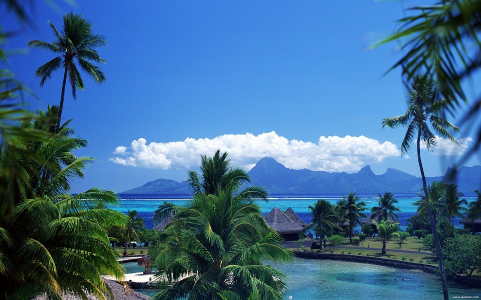 Tahiti02021