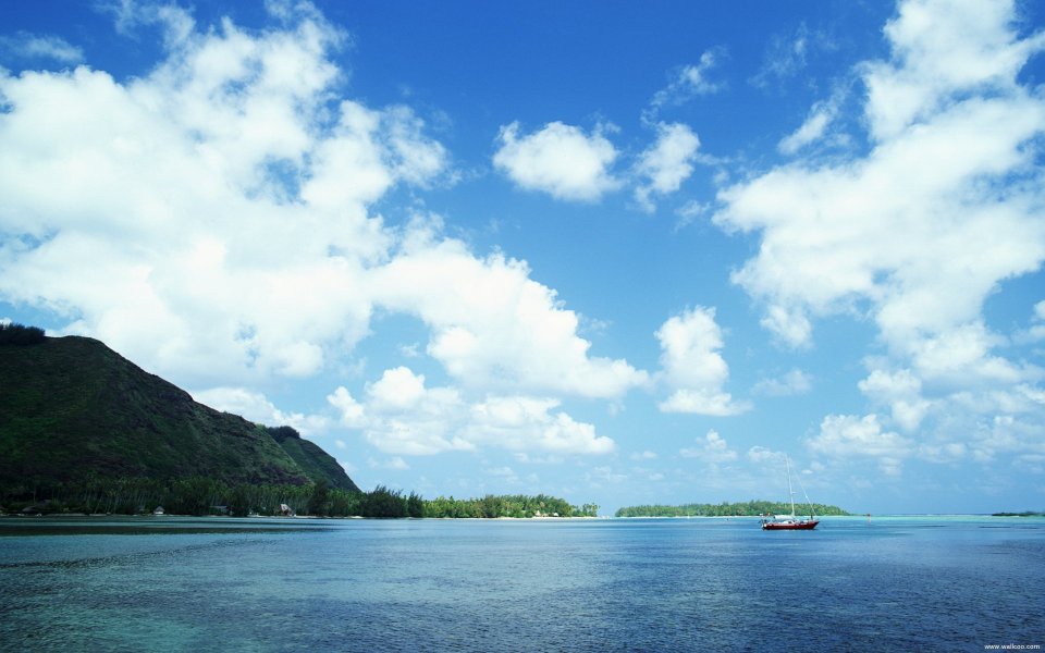 Tahiti02029