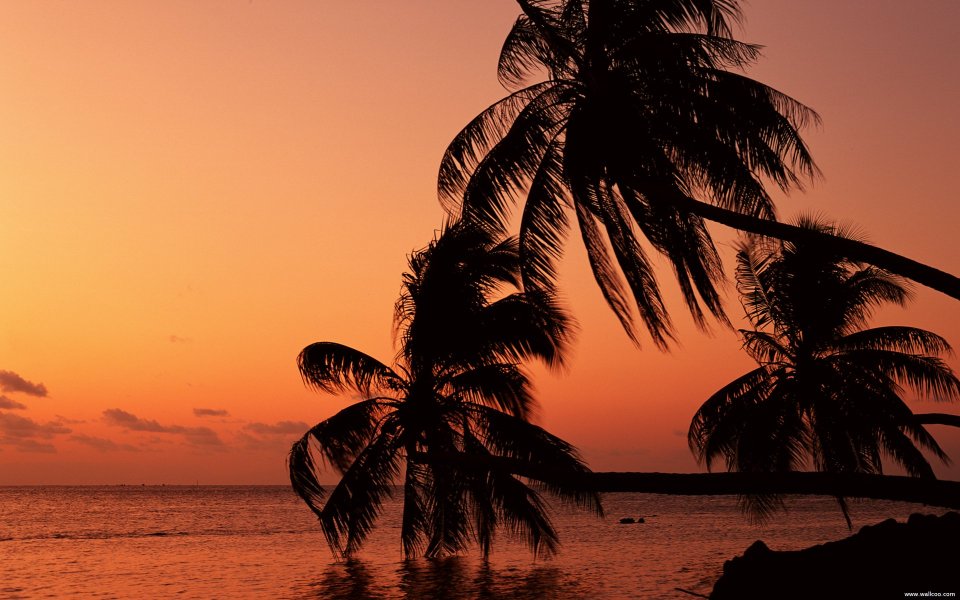 Tahiti02031