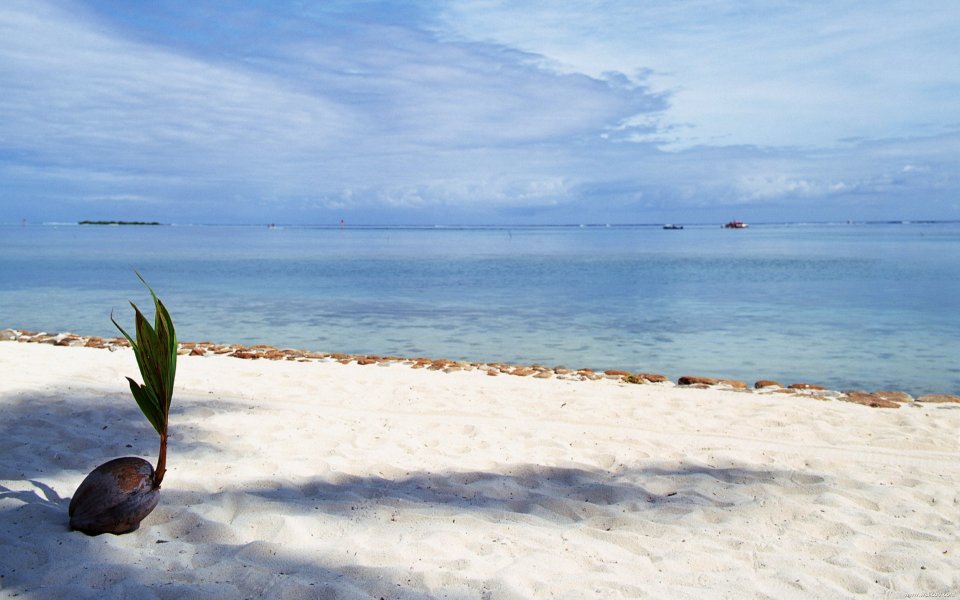 Tahiti03013