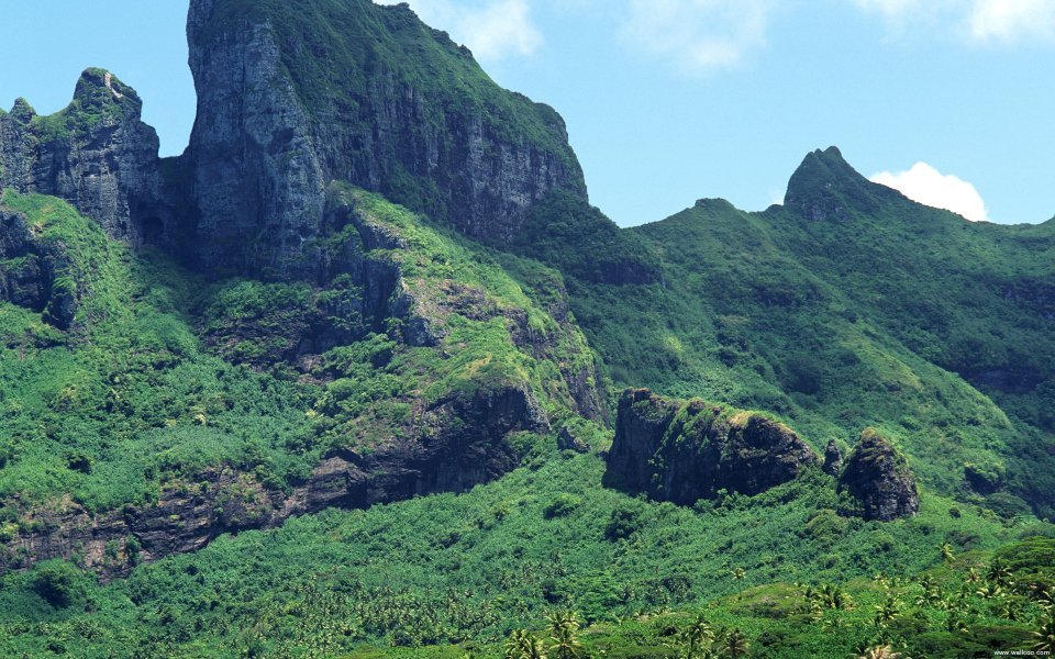 Tahiti03047