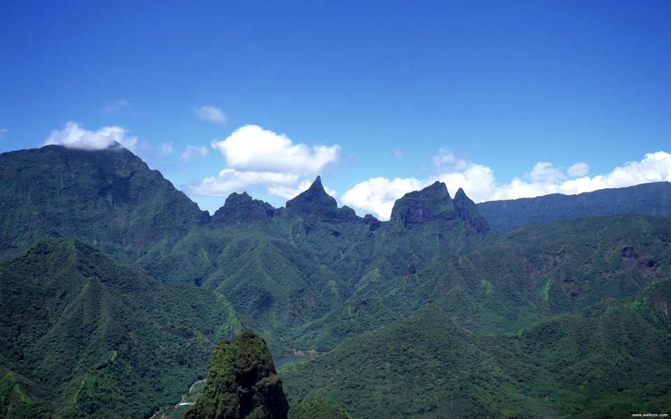 Tahiti03058