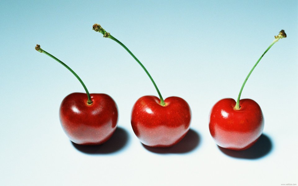 Three cherries with stems, close-up
