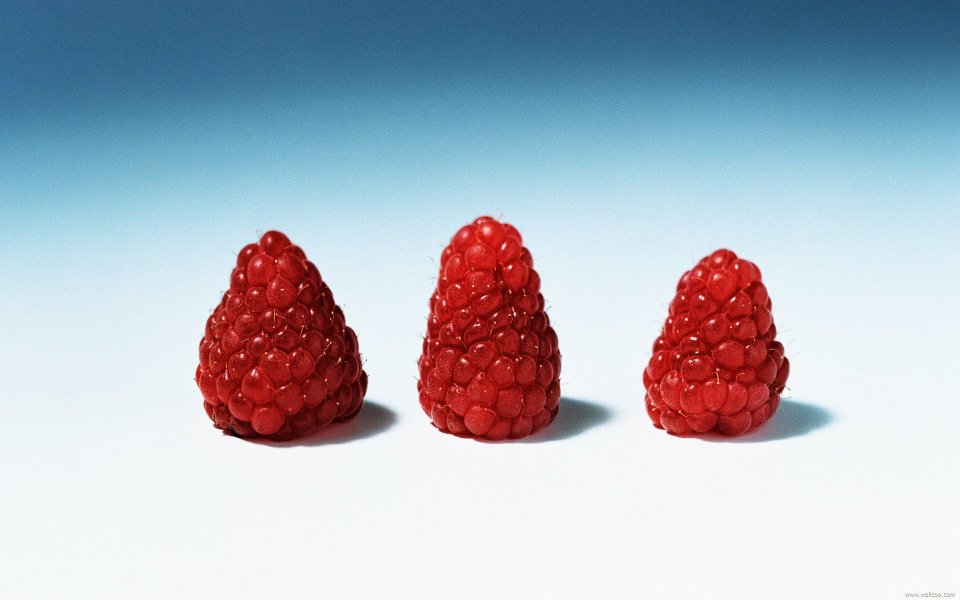 Three raspberries, close-up
