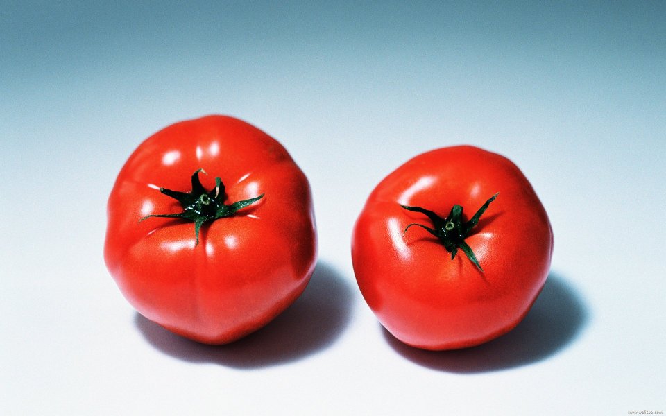 Tomatoes, close-up