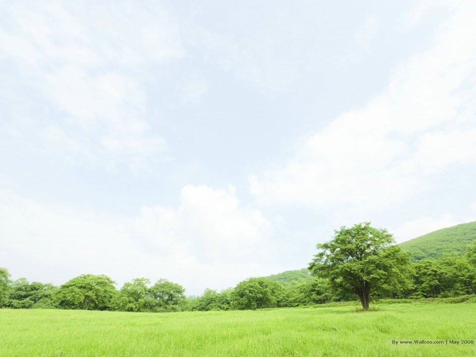 Trees_in_Green_field_and_blue_sky_JA086_photo