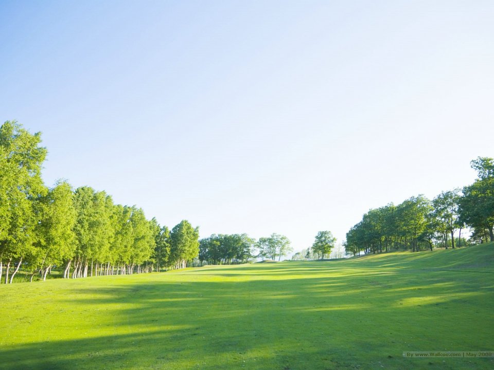 Trees_in_Green_field_and_blue_sky_JA101_photo