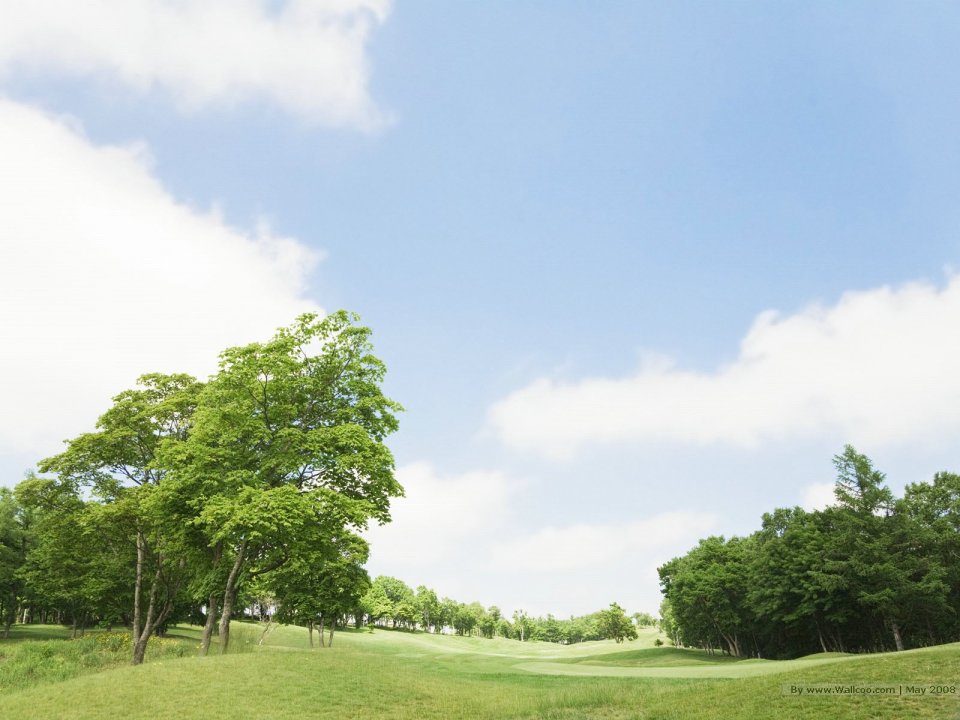 Trees_in_Green_field_and_blue_sky_JA103_photo