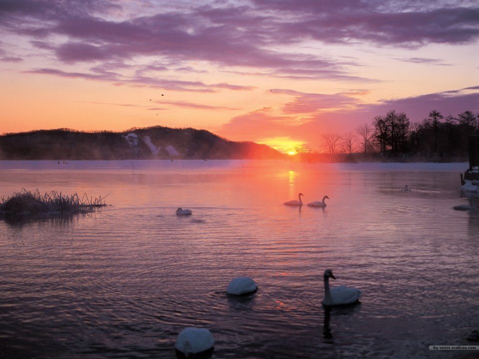 twilight_dusk_photo_122299