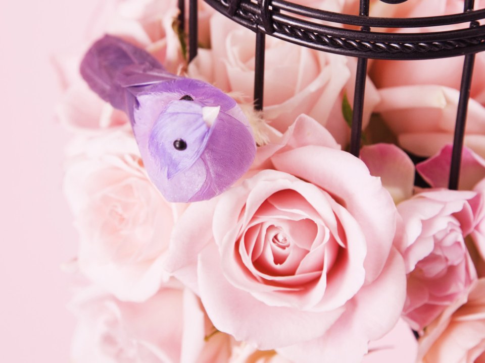 [wallcoo_com]_0HR028_350A_Wedding_Fowers