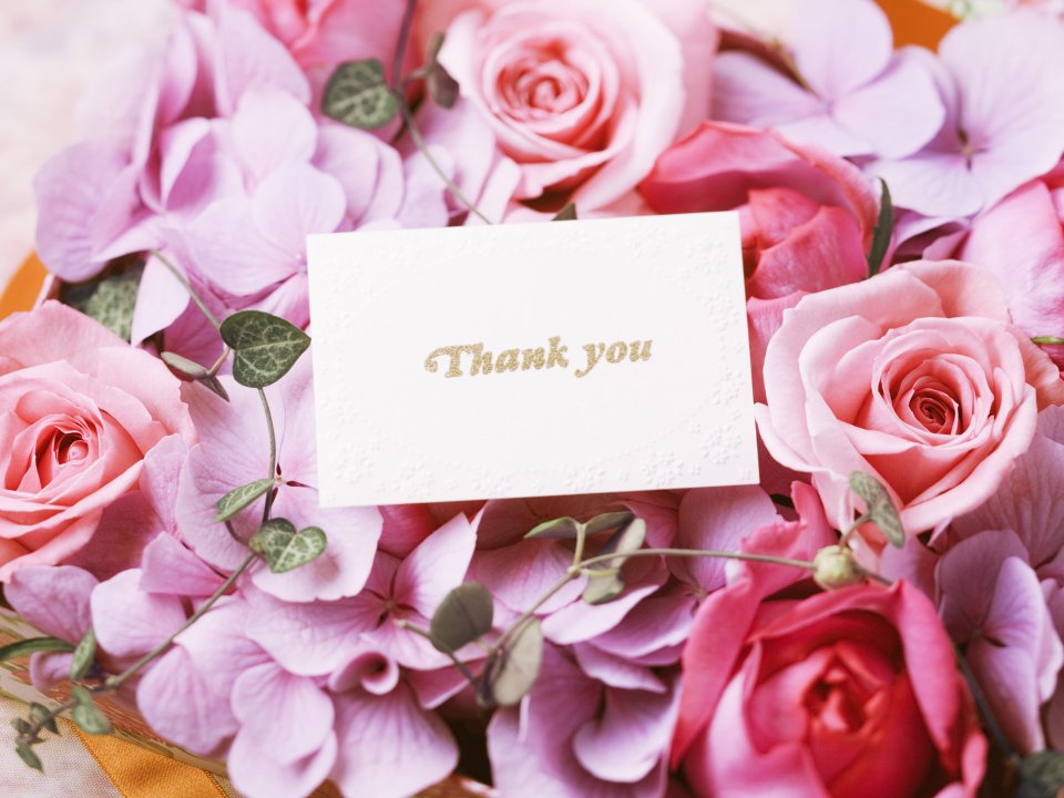 Pink Roses And Hydrangea Thank You Card