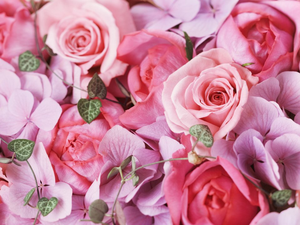 [wallcoo_com]_2HR040_350A_Wedding_Fowers