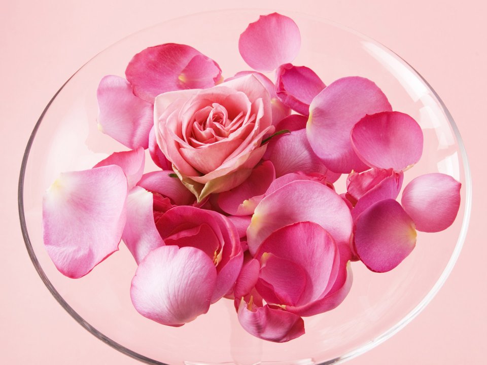 [wallcoo_com]_2HR041_350A_Wedding_Fowers