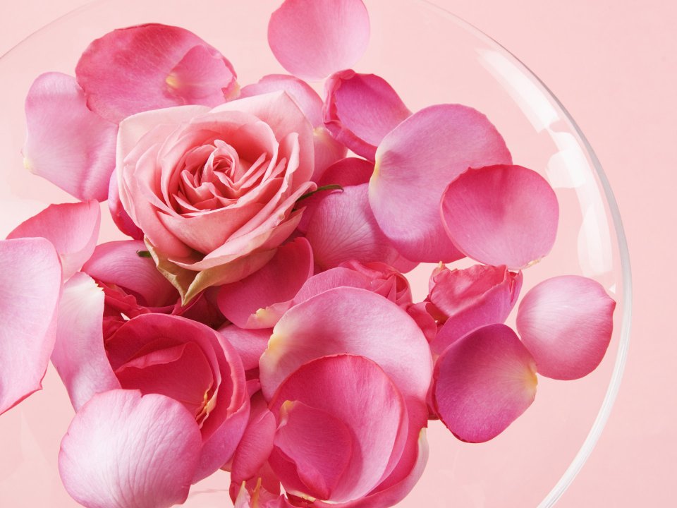 [wallcoo_com]_2HR042_350A_Wedding_Fowers