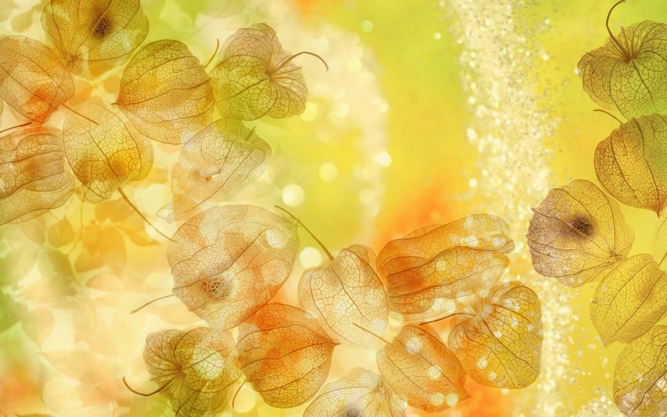 [wallcoo_com]_CG_seasons_autumn_HS142_65
