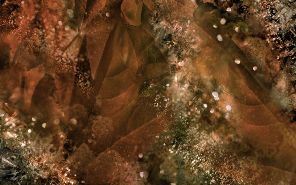 [wallcoo_com]_CG_seasons_autumn_HS144_66