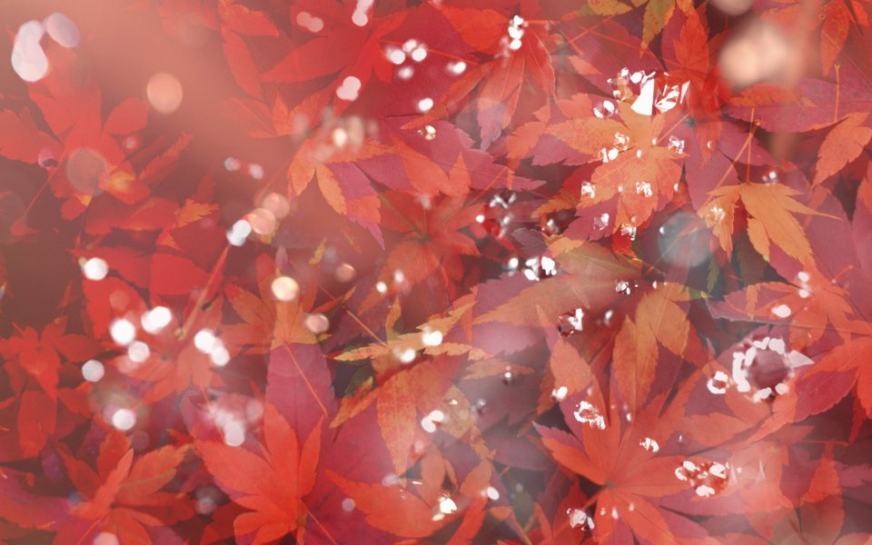 [wallcoo_com]_CG_seasons_autumn_HS151_75
