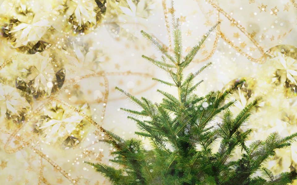 [wallcoo_com]_CG_seasons_winter_Christmas_HS191_114