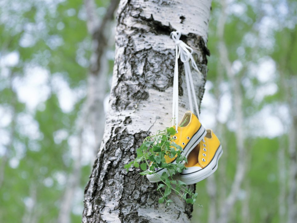 [wallcoo_com]_HQ-Hurb-Life-Images (14)